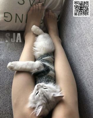 哥斯拉负一_蓝光视频大全